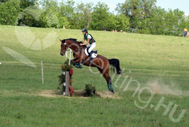 kaposvar_2012_majus_keppel_256