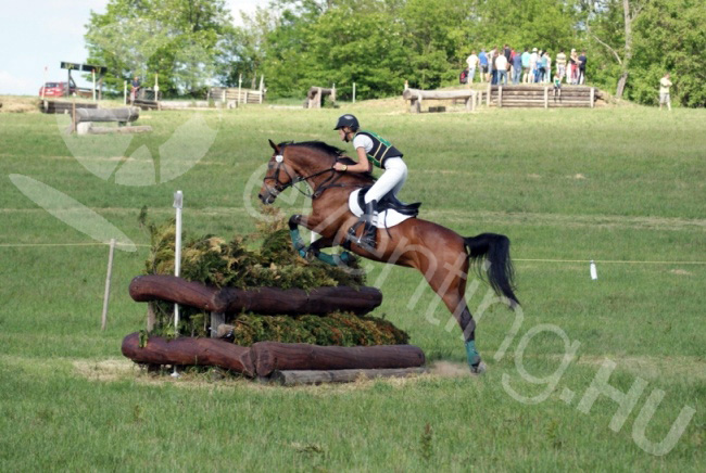 kaposvar_2012_majus_keppel_257