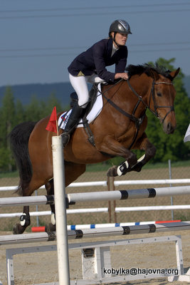 kobylka@hajovna_org_2012_05_08_25078