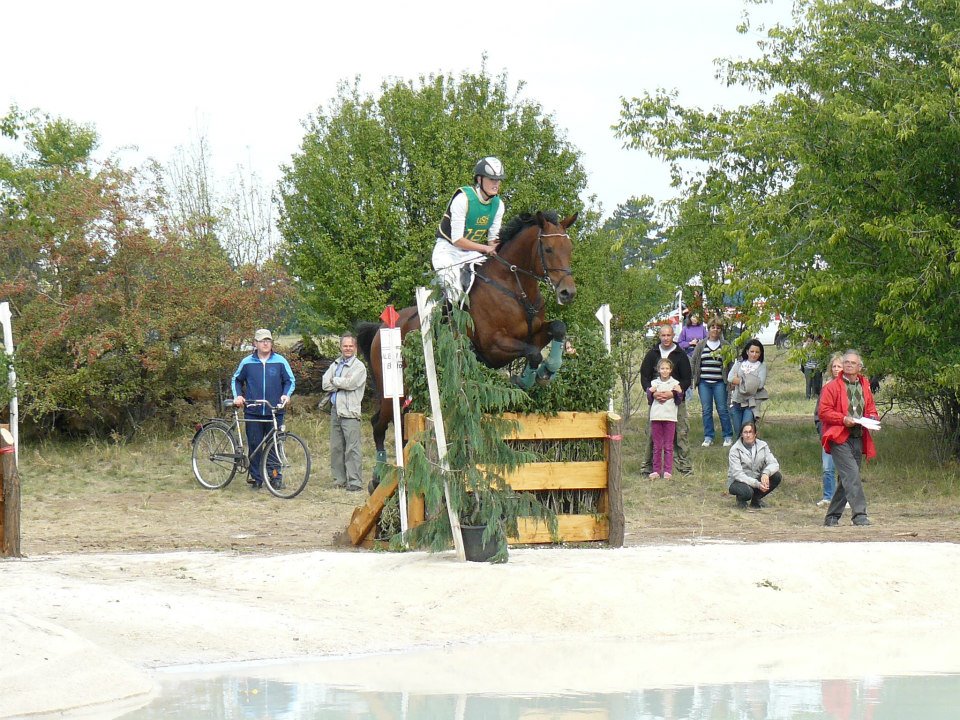 alag 2012